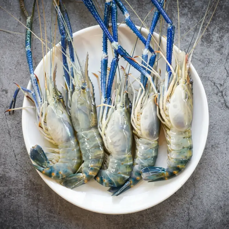 Prawn -Golda Medium(12-15 Pcs per Kg) /Kg